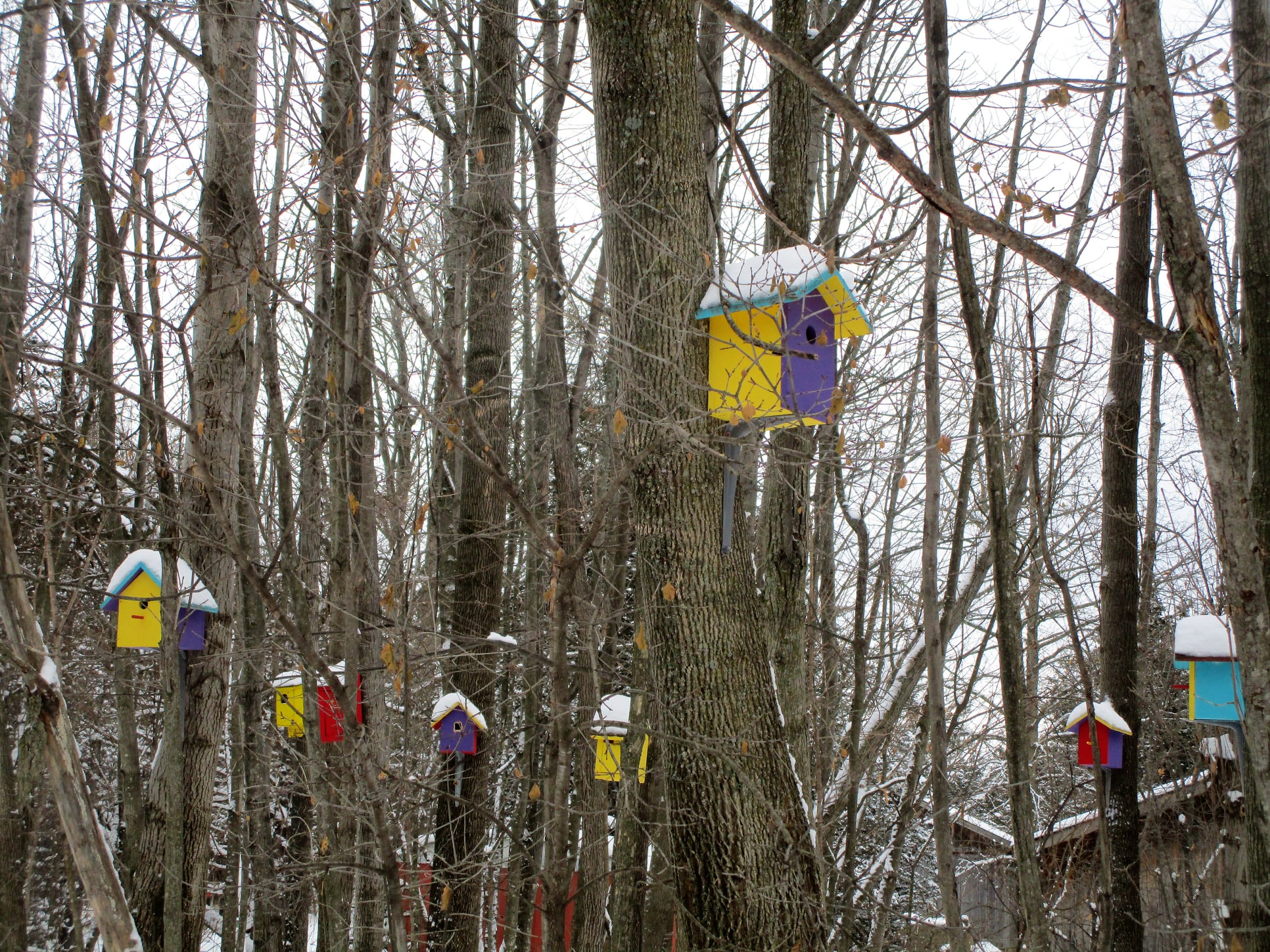 Birdhouses