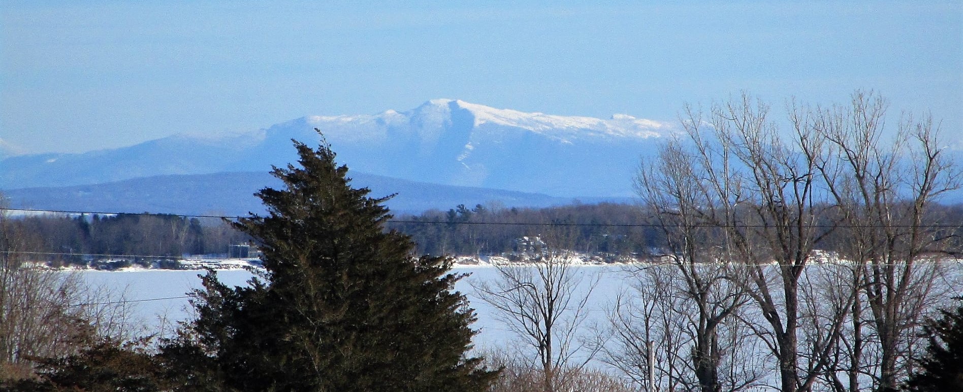 Winter Morning